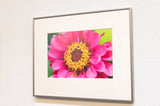 flower - pink product image 3