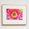flower pink product image 1